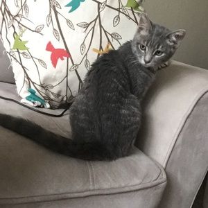 Meet your Posher, Jenae